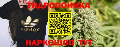 стаф Партизанск