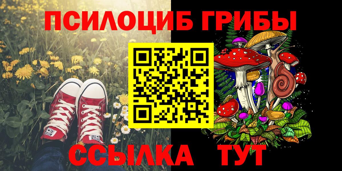 Псилоцибиновые грибы Psilocybine cubensis  Вход с VPN  Полысаево 